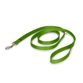 PetSafe Nylon Dog Leash - Strong, Durable, Traditional Style Leash with Easy to Use Bolt Snap - 3/4 in. x 6 ft., Apple Green