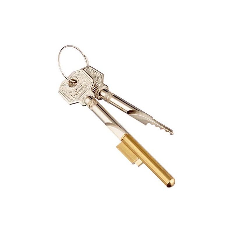 Burg Wächter E 6 Keys, Verschiedensperrend with 2 Keys