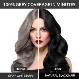 Haarfarbe Schwarz, Haarfärbeshampoo für Gegen Graue Haare, Black Hair Dye Shampoo 3 in 1, Hair Color Shampoo, Natürliche Sofort Haarfarben Farbshampoo, Instant Black Hair Shampoo für Männer und Frauen