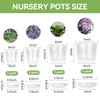 7/6/5/4 Inch Clear Nursery Pots with Drainage Hole 20Pcs,Plastic Plant