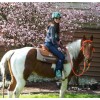 Homemade Saint Ann Patron Of Equestrians, Protection for Horse and