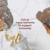 Host Defense, Chaga Capsules, Antioxidant and DNA Support, Daily Mushroom