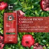 Herbal Essences Shampoo Granada y Proteína Vegana 600 ml