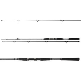 DAIWA Seahunter X Pilk Cod 802XH, 2 Pieces, 2.40 m, 100-200 g, Sea Fishing Rod, 11533-246