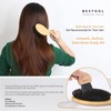 BESTOOL Hair Brush, Boar Bristle Brush for Women Men Children,