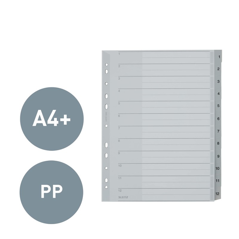 Leitz Plastic Index (1-12, A4, PP, 12 Sheets), Grey