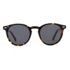 ZENOTTIC Men's Vintage Round Sunglasses, Polarized Sunglasses, UV Protection, Handmade,