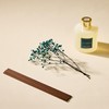 COCORRÍNA Reed Diffuser - Cashmere Vanilla 17 Fl.oz Reed Diffuser