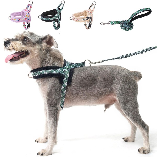 BEAUTYZOO No Pull Small Dog Harness and Leash Set, Soft