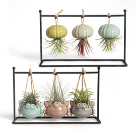 Gniliny Hanging Air Plant Holder：8 Pack Ceramic Air Plant Cradle with Rack for Indoor Outdoor Decor - Air Plant Display Container for Home Office Garden