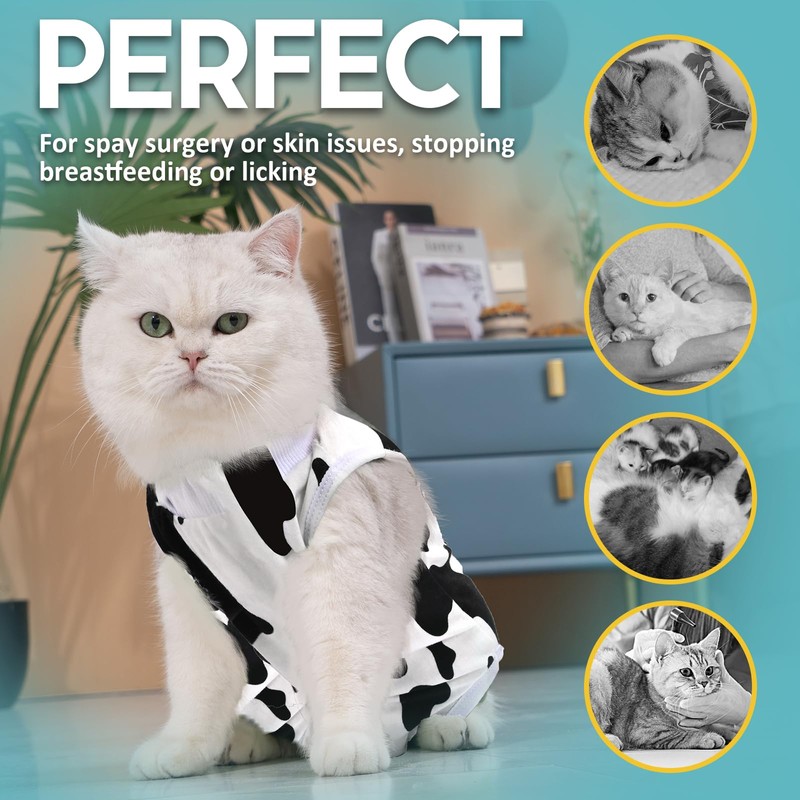 Avont Cat Recovery Suit, Kitten Onesies for After Surgery, Surgical
