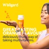 Vegan Multivitamin Gummies by Wellgard - Chewable Multivitamins Adults, 60