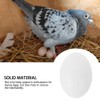 White Fake Eggs Solid Plastic Dummy Pigeon Eggs for Pigeons