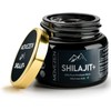 Shilajit +