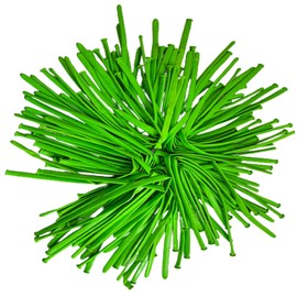 Green Long Balloons 260q Modelling Balloons 25 Pack Twisting Animal Making Balloons Long Magic Balloons for Birthday Party Wedding Festival Party Decoration Supplies.