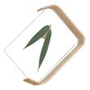 Desktop Plant Specimen Frame Wooden Acrylic Simple Modern Photo Frame