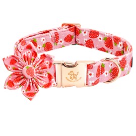 Elegant Little Tail Spring Dog Collar, Strawberry Print Cotton Soft Medium Dog Collar with Removable Flower Decoration, Fits Neck 13.5-22 Inches