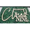 We Are On Cloud Nine Sign for Backdrop,Baby Shower Party
