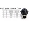 Tial Genuine Tial Spring for MVS 38mm or MVR 44mm
