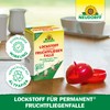 Neudorff Lockstoff für Permanent FruchtfliegenFalle – Nachfüllpack zur zuverlässigen Bekämpfung