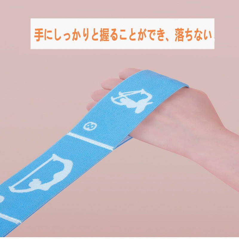 Ballet Stretch Band Training 10 Levels of Strength Loop Band