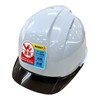 Toyo Safety No. 397FSH-S-C Heat Shield Helmet with Shield