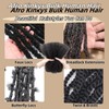 BLL Afro Kinkys Bulk Human For Braiding Hair Mini Twist