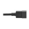 Tripp Lite C20 to C21 Power Cord for 250V Servers,