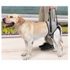 Dog Care Harness, Dog Harness, Waist Band, For Large Dogs,