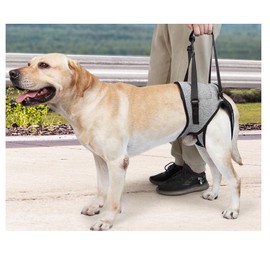 Dog Care Harness, Dog Harness, Waist Band, For Large Dogs, Walking, Large Dog Harness, Adjustable Foot Support Harness, Pet Supplies