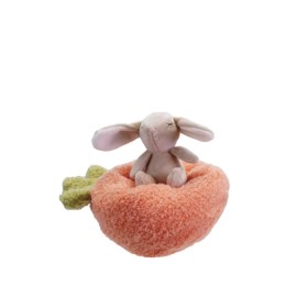 Creative Co-op Plush Carrot bed with Bunny