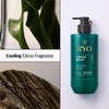 Ryo RYO Deep Cleansing Shampoo with Korean Ginseng & Caffeine