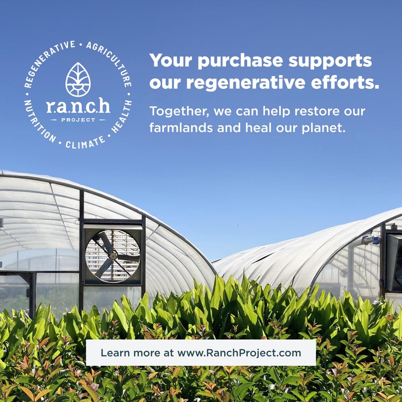 Ancient Nutrition Multi Collagen Protein -Unflavoured 235g