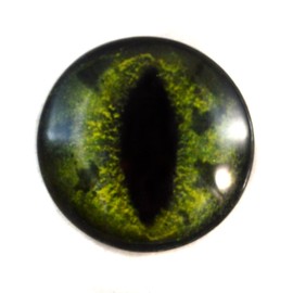30mm Green Alligator or Dragon Glass Eye for Taxidermy Sculptures or Jewelry Making Pendant Crafts