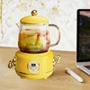 Health Pot Stainless Steel Glass Multifunctional Mini Electric Tea Maker