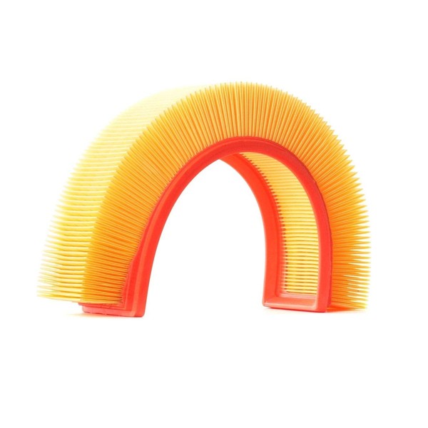 RIDEX 8A0123 Engine Air Filter