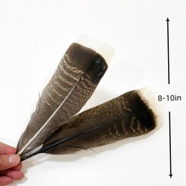 Turkey Tails Feathers Bulk 10pcs,Natural Long 8-10 inch (20-25cm) Feathers,for Crafts DIY Party Festival Centerpieces and Hat Clothing Decoration (Turkey Tails)