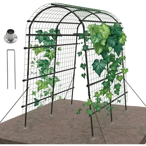 Garden Arch Trellis for Climbing Plants Outdoor 7ft Extra Tall