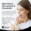 Glucosamine and Chondroitin High Strength - Enriched with MSM and