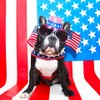 ComfortFlex Patriotic Dog Harness – Fully Padded, Adjustable, Lightweight No-Choke,