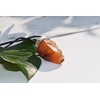 Stone of Vitality - Reiki Energy Charged Raw Carnelian Crystal