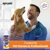 Epi-Pet After Sun Care Nourishment Spray, Veterinary Formulated Dog Skin