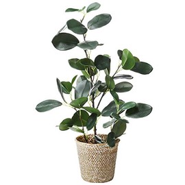 SAROSORA Artificial Ficus Tree Fake Plants in Weaved Pot 20" Height for Living Room Decor Indoor Home Office Ins Style (Green, 1)