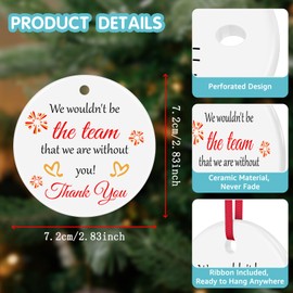 Team Gifts for Colleague We Wouldn't be the Team that We are Without You Ornament Team Appreciation Gifts for Employees Staff Coworker Thank You Gift for Boss Coach Team Leader