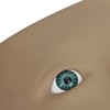 Makeup Practice Face Board 3D Realistic Eye Painting Practice Plastic