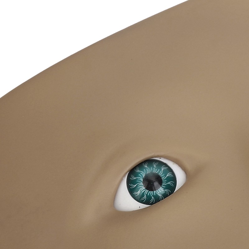 Makeup Practice Face Board 3D Realistic Eye Painting Practice Plastic