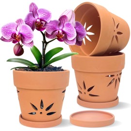 Thriving Thicket Handmade 3 Pack 6 inch Terracotta Orchid Pots with Holes and Saucers, Clay Orchid Planter Pots for Repotting, Small Terra Cotta Orchid Vase, Ceramic Plant Flower Pot Indoor Outdoor