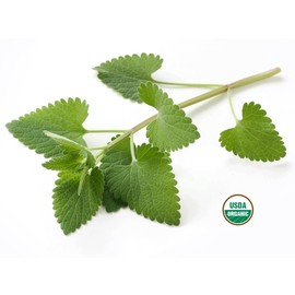 Organic Catnip - Dried Nepeta cataria Loose Leaf/Buds by Nature Tea (1 oz)
