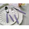 Exzact WF23 Cutlery Set Stainless Steel with Coloured Handles (Lavender,