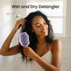 AIMIKE Glacier Detangling Brush, Pain-Free Detangler Brush for Curly Hair